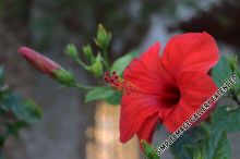 22-IMG_8523_bearbeitet-111