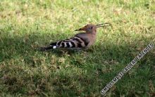 39-_IMG_6815_bearbeitet-111