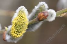 03IMG_0061-111
