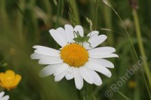 15IMG_0866-111