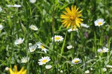 IMG_3765 (2)Bestellt