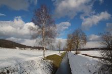 Limpach_Winter